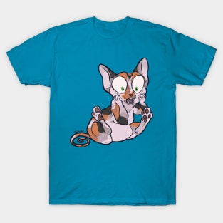 Oh My - Calico Sphynx T-Shirt